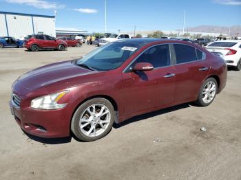  Salvage Nissan Maxima