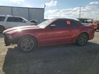  Salvage Ford Mustang