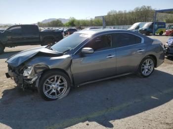  Salvage Nissan Maxima