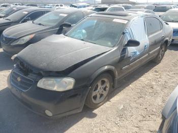  Salvage Nissan Maxima