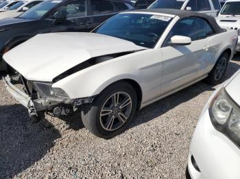  Salvage Ford Mustang