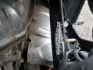Can-Am Ryker Rall Rally Edition Image 9