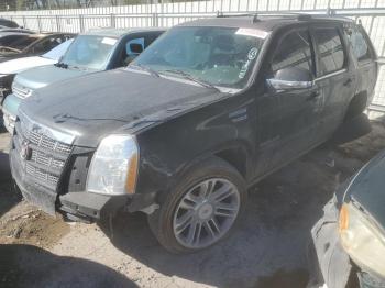  Salvage Cadillac Escalade