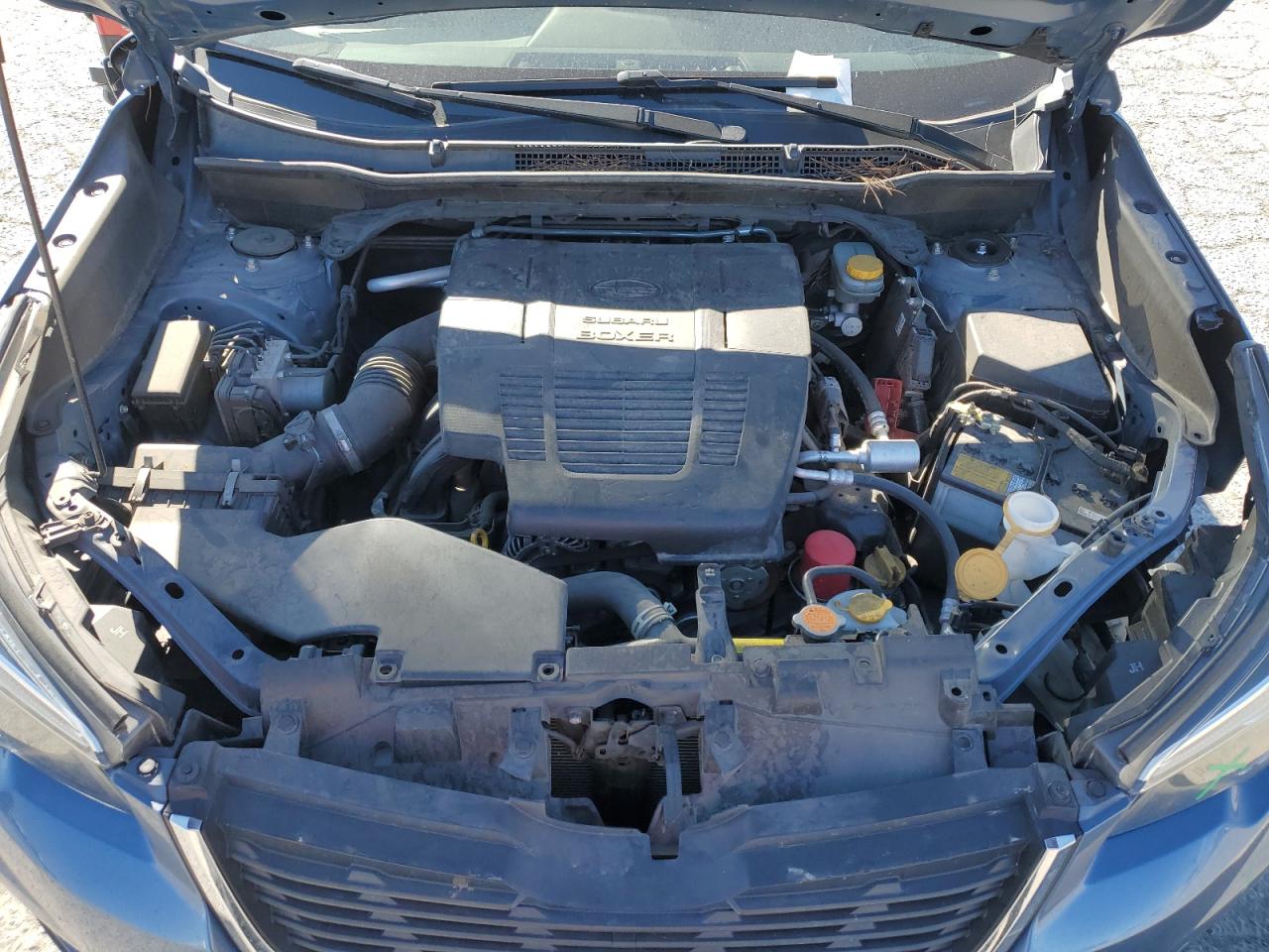 Subaru Forester Limited Image 8