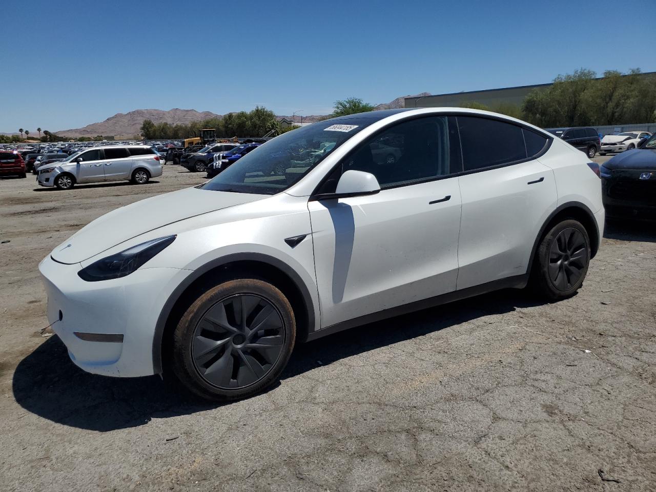 Tesla Model Y Image 1