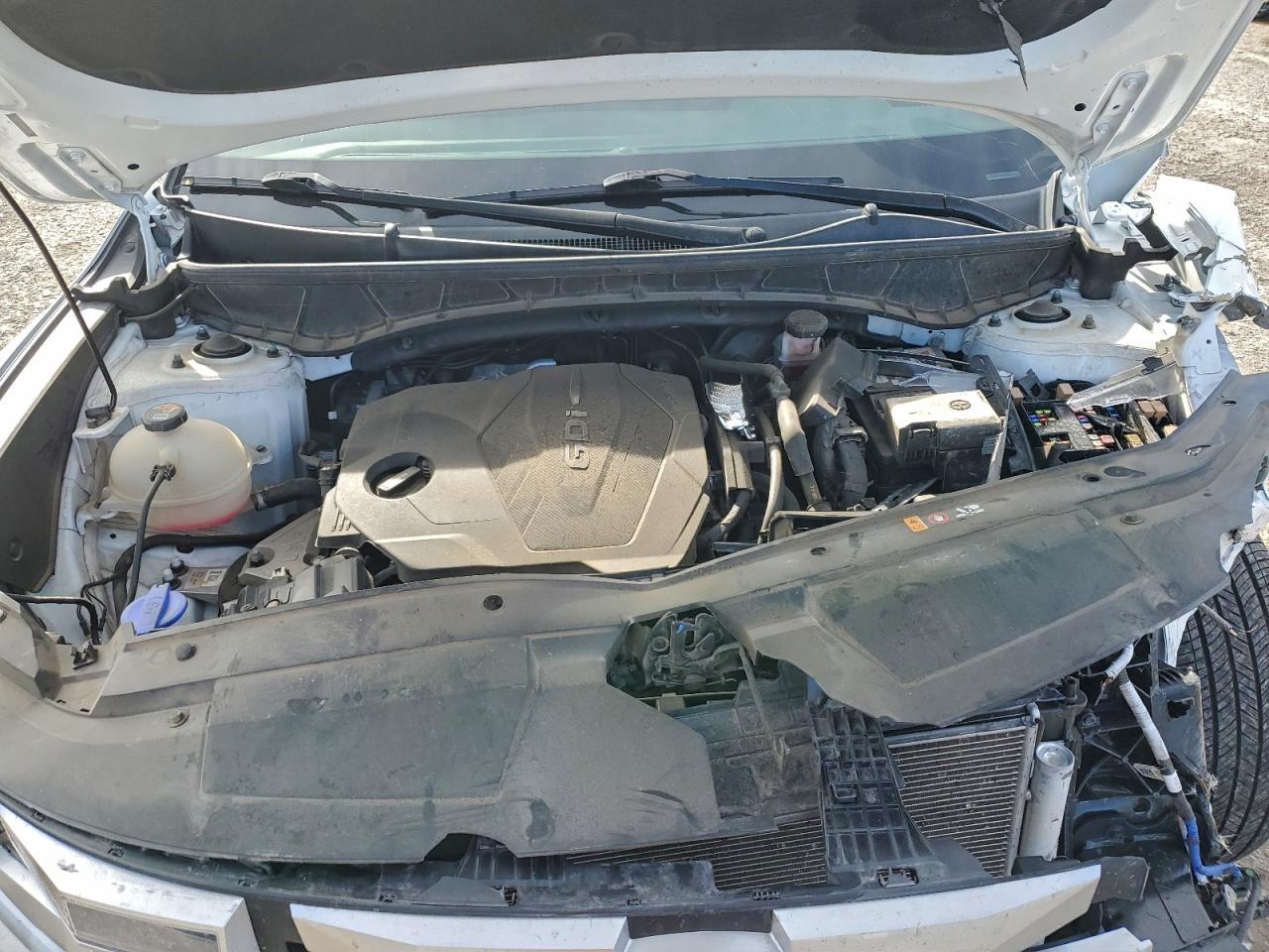 Hyundai SANTA CRUZ Sel Image 12