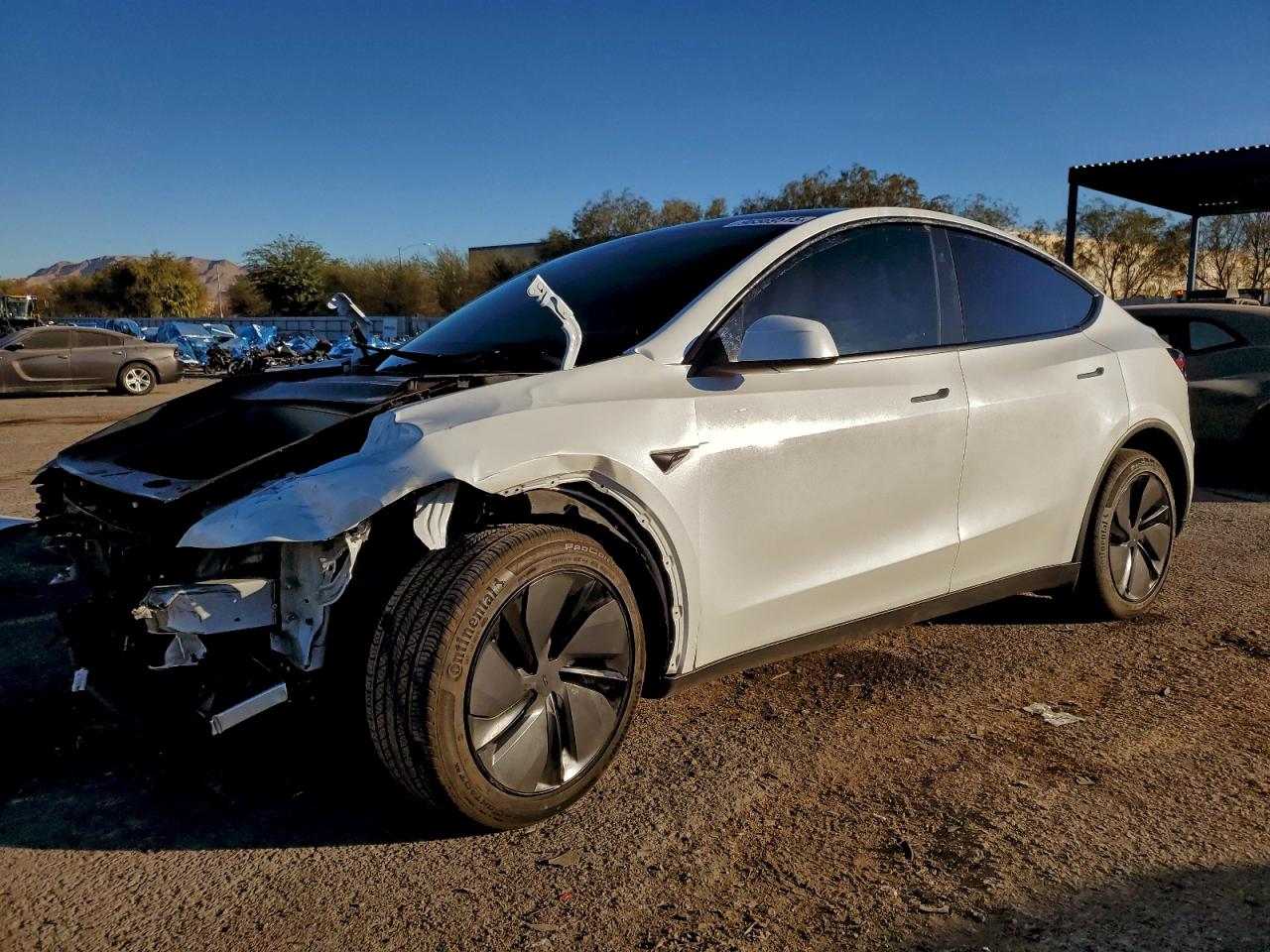 Tesla Model Y Image 1