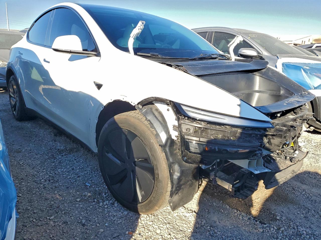 Tesla Model Y Image 3