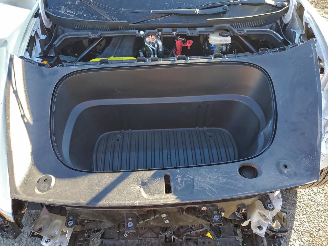 Tesla Model Y Image 6