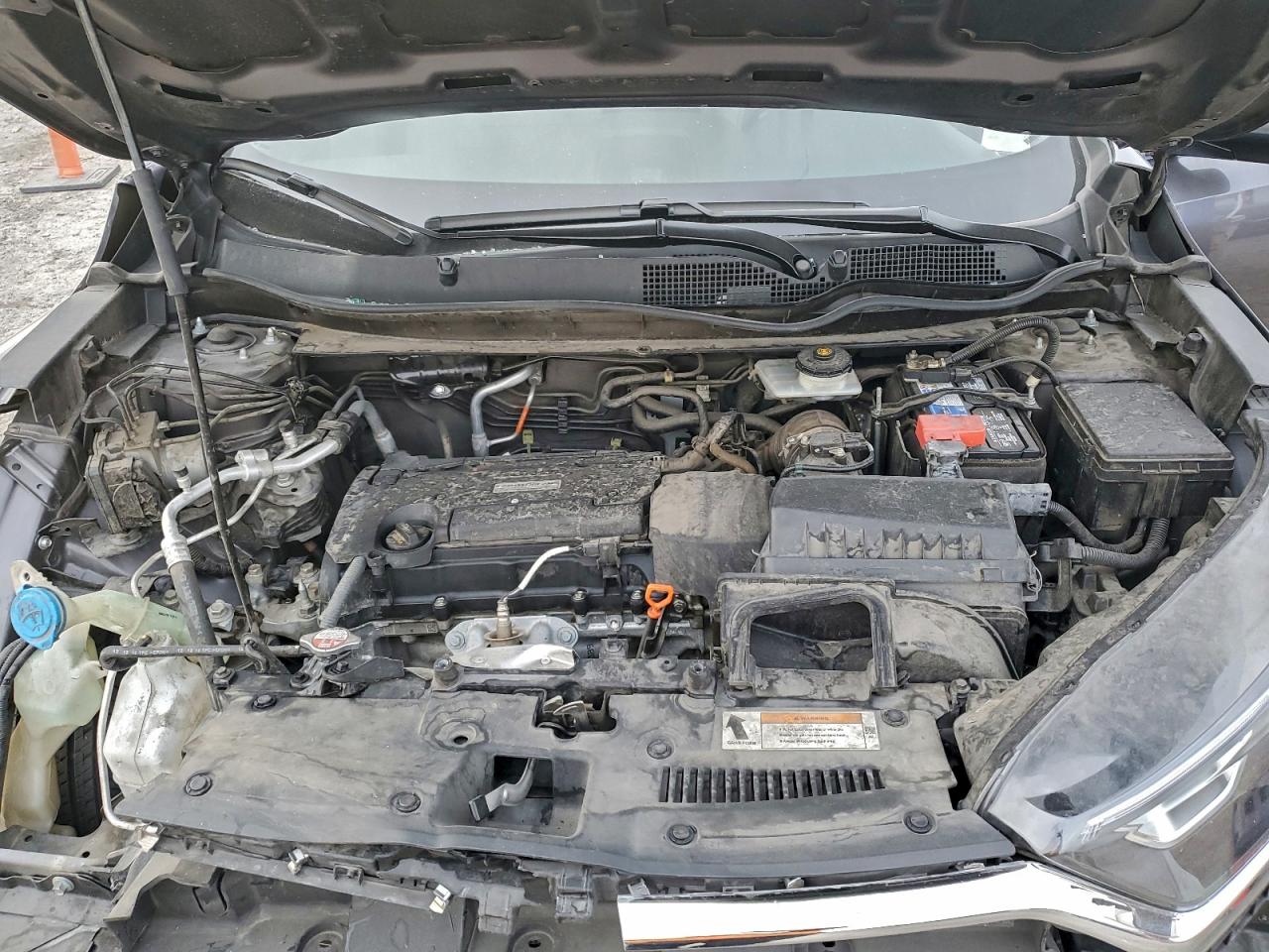 Honda Crv Lx Image 12