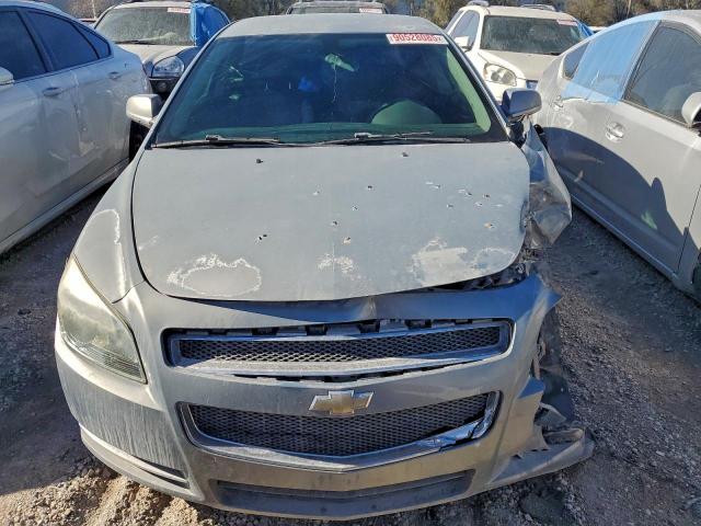 Chevrolet Malibu 1lt Image 3